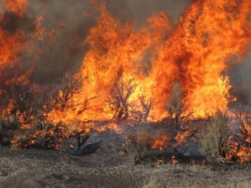 Increase the income tax to fund wildfire prevention