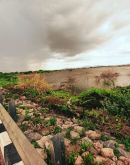 Blood on Their Hands: Supreme Court Ruling to Broadly Regulate Carbon Emissions