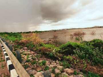 Blood on Their Hands: Supreme Court Ruling to Broadly Regulate Carbon Emissions