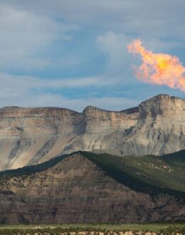 Supreme Court limits authority in regulating greenhouse gases