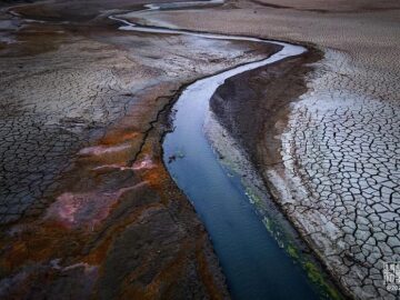 Water Restrictions in Los Angeles: A Look at the Ongoing Drought Crisis