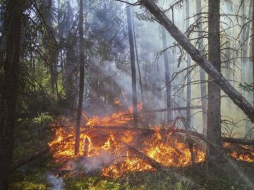 “California Burning”, the wildest fire season is coming up