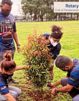 Forget Homelessness Plant Trees: California’s 150 Million Plan for School Green
