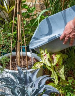 In the face of climate change, conserving water is a priority in California