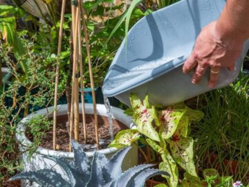 In the face of climate change, conserving water is a priority in California