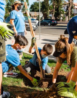 TreePeople brings environmental justice to schools one tree at a time
