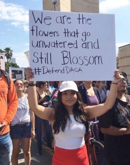 DACA Ruling: What Does the Decision of a Court About the Dreamers Mean?