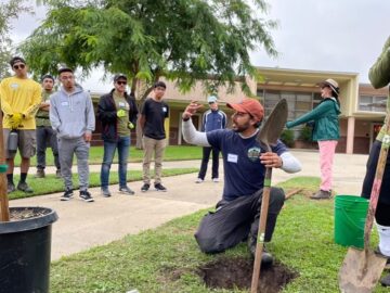 TreePeople receives $35 million to combat climate change