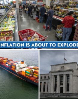 We are a Mess: L.A. City Council cancel meeting. DACA returns to court. Food, electricity and rents are raising faster than wages