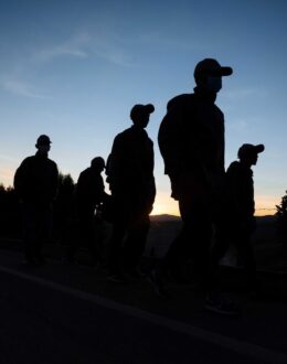 Venezuelan Migrants Have Shown a Great Level of Adaptation in the E.U.