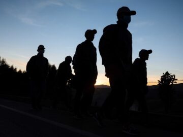 Venezuelan Migrants Have Shown a Great Level of Adaptation in the E.U.