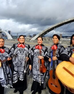 Crucial House of Representatives Control Hangs in Balance: 15 Key Races to Determine the Outcome