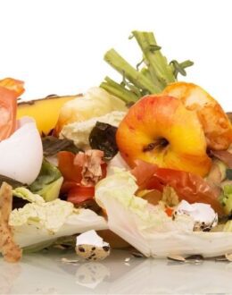 What to do with leftover Thanksgiving food?