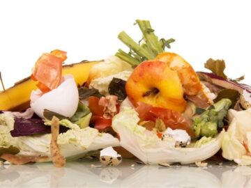 What to do with leftover Thanksgiving food?