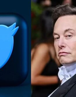 Elon Musk to reinstate suspended accounts on Twitter