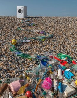 Amid health fears, plastic makers pledge greater transparency over chemicals