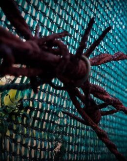 In July, the law that sealed the criminal records in California goes into effect