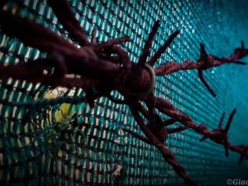 In July, the law that sealed the criminal records in California goes into effect