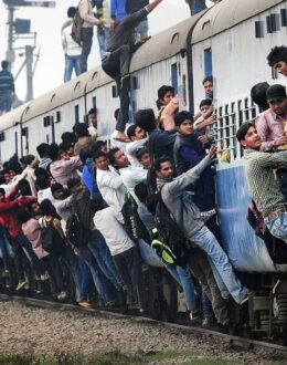 World population projected at 7.9 billion on New Year’s Day