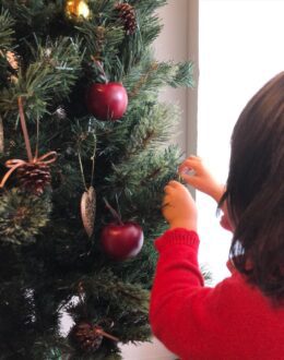 Ready for Christmas? Christmas trees will cost more this year