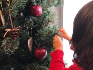 Ready for Christmas? Christmas trees will cost more this year