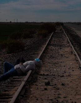 How the Political Parties Have Realigned on Immigration