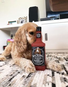 Jack Daniel’s tells its brand is harmed by dog toy Bad Spaniels