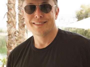 Musk, scientists call for halt to AI race sparked by ChatGPT