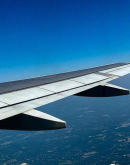 Flight attack raises questions about security, mental health