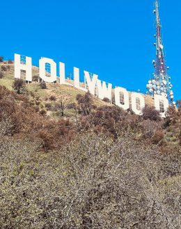 Continued lack of representation in the film industry in Hollywood