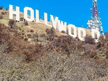 Continued lack of representation in the film industry in Hollywood