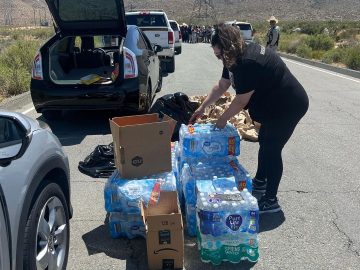 Uncertainty Among Migrants Before the End of Health Restrictions