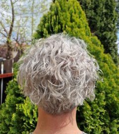 Is Gray Hair Reversible?