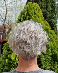 Is Gray Hair Reversible?