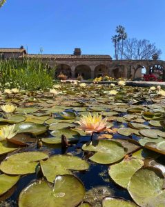 A road trip: A quick guide to the 21 historic Spanish Missions
