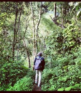 Walking and silence: meditation in movement