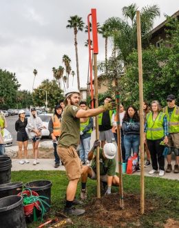 Schools Cooling Strategies in California to Beat the Damaging Heat
