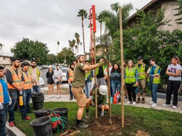 Schools Cooling Strategies in California to Beat the Damaging Heat