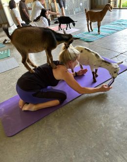 9 Weekend Rituals of Successful People to Avoid Stress and Achieve Peak Performance