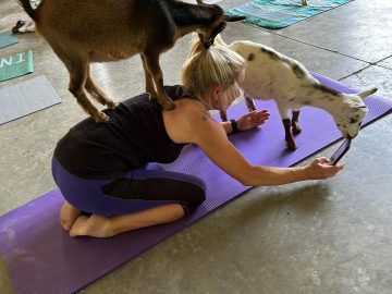 9 Weekend Rituals of Successful People to Avoid Stress and Achieve Peak Performance