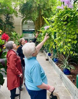 Unlocking the Secrets of Successful Aging: 3 Key Facts