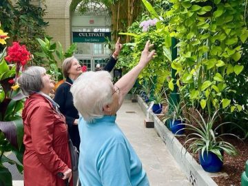 Unlocking the Secrets of Successful Aging: 3 Key Facts