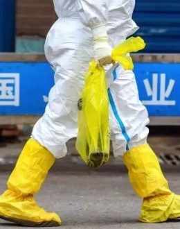 Unraveling the COVID Mystery: The Elusive Origins of the Coronavirus Pandemic May Never be Revealed