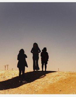 Chaos in the processing of asylum cases around the world