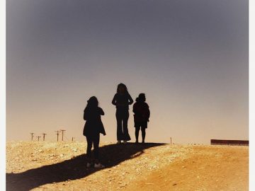 Chaos in the processing of asylum cases around the world