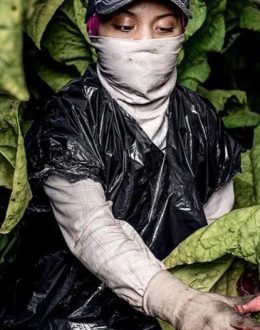 Exploitation of Child Labor in The US Increases