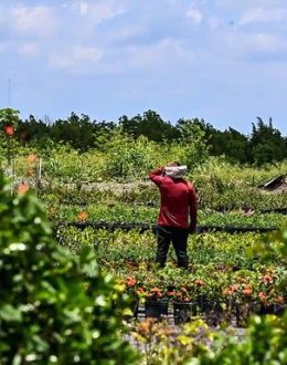 Loneliness is a biological phenomenon with consequences; affects undocumented immigrants