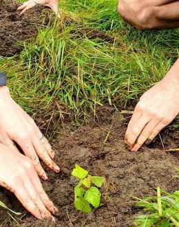 Most Americans don’t believe in climate change; they distrust the newspapers