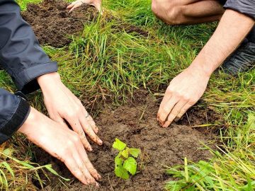 Most Americans don’t believe in climate change; they distrust the newspapers