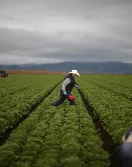 Immigrants are joining the U.S. workforce at much higher levels than normal